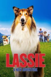 Lassie: Yepyeni Bir Macera Türkçe Altyazılı İzle