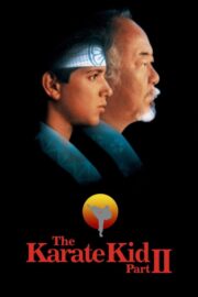 The Karate Kid Part II Türkçe Altyazılı İzle