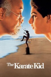 The Karate Kid Türkçe Altyazılı İzle